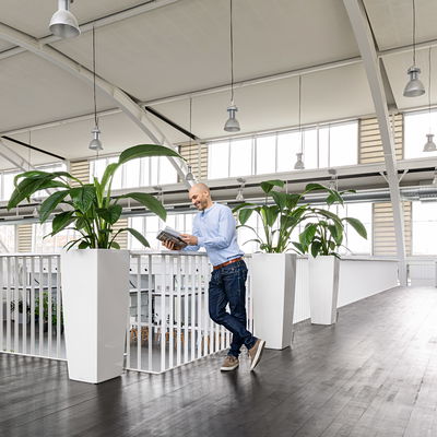 Lechuza 'Cubico Alto 40', weiß, ca. 39,5 x 39,5 x H 105 cm Lechuza 'Cubico Alto 40', weiß, ca. 39,5 x 39,5 x H 105 cm