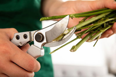 Kölles Beste Schnittblumenfrisch, 500 ml
