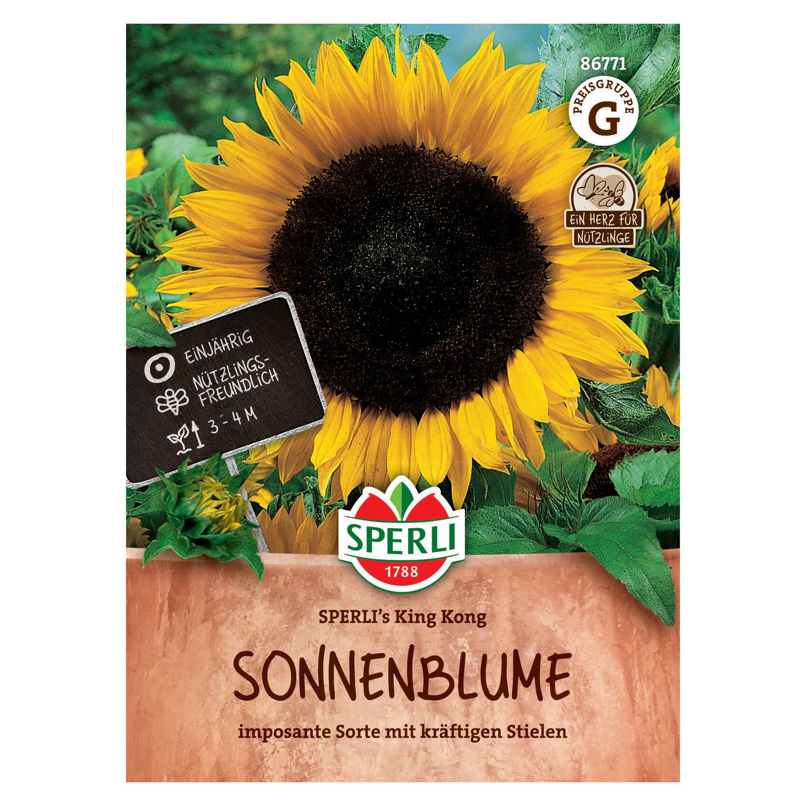 Saatgut Sonnenblume 'Sperli’s King Kong'