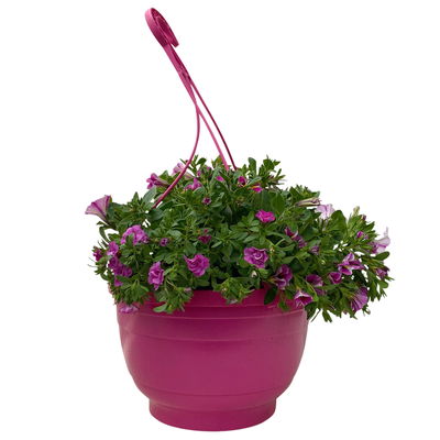 gemischte Sommerblumen-Ampel, rosa/pink, Ampeltopf-Ø 27 cm