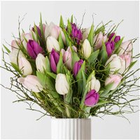 Blumenbund mit 20 Tulpen weiß-rosa-lila und Heidelbeere, inkl. gratis Grußkarte