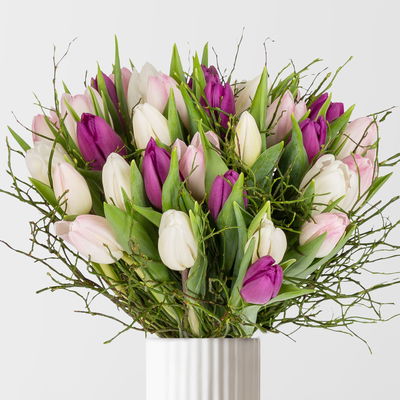 Schnittblumen-Mix aus 30 Tulpen in weiß, rosa & lila mit Heidelbeere Schnittblumen-Mix aus 30 Tulpen in weiß, rosa & lila mit Heidelbeere