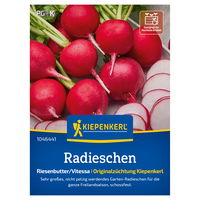 Kiepenkerl Saatgut Radieschen 'Riesenbutter/Vitessa', rot