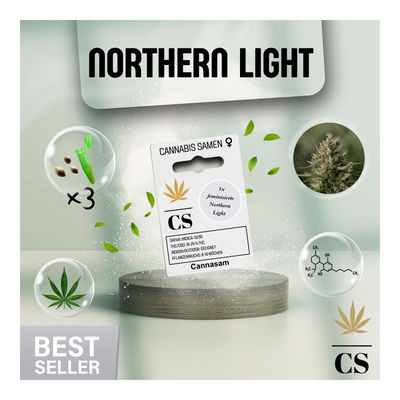 Cannabis Saatgut Hanf 'Northern Light' Cannabis Saatgut Hanf 'Northern Light'