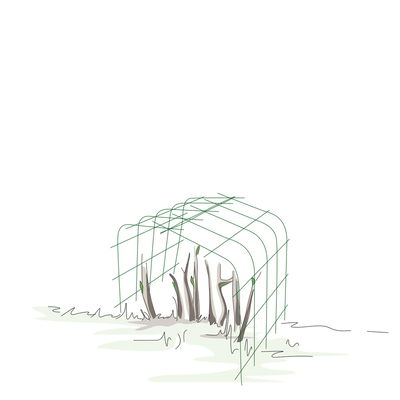 Bellissa Hortensienstütze 'ANNABELLE', 2er-Set, grün, H80 x L75 x L72 cm Bellissa Hortensienstütze 'ANNABELLE', 2er-Set, grün, H80 x L75 x L72 cm