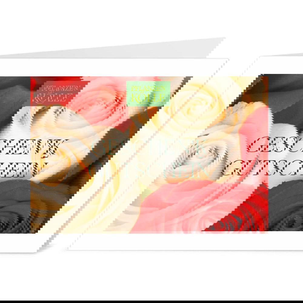 Gutschein zum Ausdrucken 'Rose'