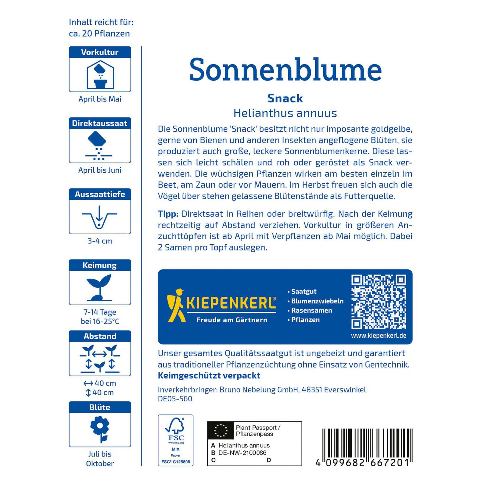 Blumensamen, Sonnenblume 'Snack', gelb