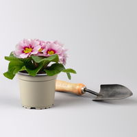 Pflanzen-Set Lila Frühlingsboten, 12 Pflanzen inkl. Erde