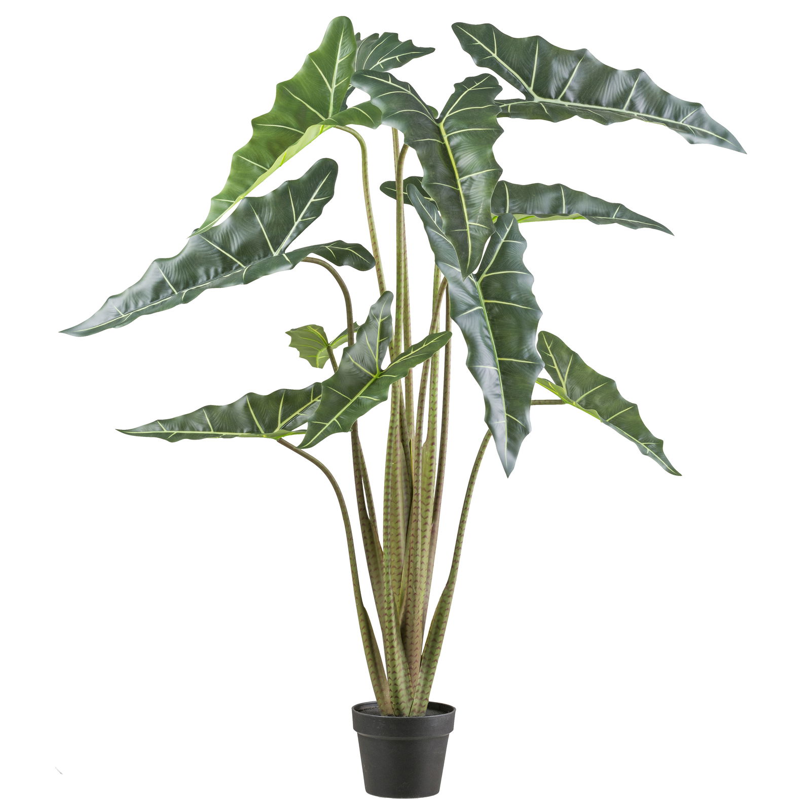 Künstliche Alocasia zebrina 'Sarian', Höhe ca. 130 cm