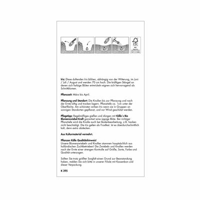 XXL Duftende Iris Mischung mehrfarbig, 3 Blumenzwiebeln XXL Duftende Iris Mischung mehrfarbig, 3 Blumenzwiebeln