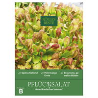 Kölles Beste Gemüsesamen Pflücksalat 