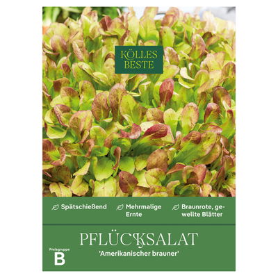 Kölles Beste Gemüsesamen Pflücksalat 