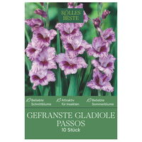 Kölles Beste Blumensamen, Gefranste Gladiole Passos