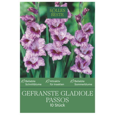 Kölles Beste Blumensamen, Gefranste Gladiole Passos