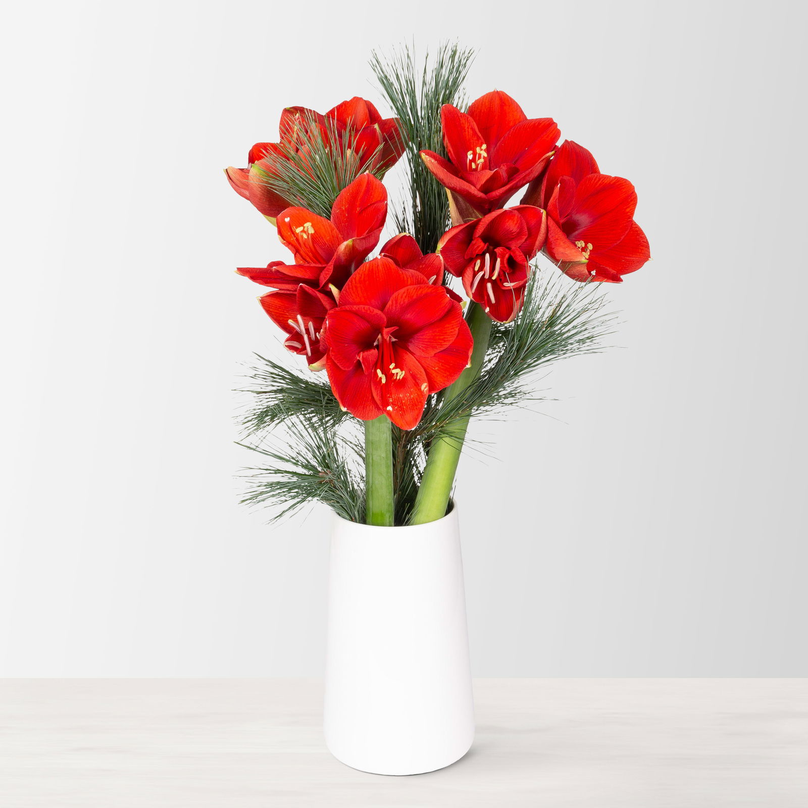 Schnittblumen-Mix aus 3 roten Amaryllis & 3 Seidenkiefer