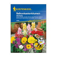 Blumensamen, Balkonkastenblumen-Mischung, bunt