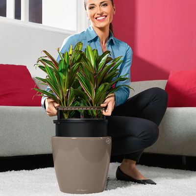 Lechuza 'Classico LS 43', taupe, ca. Ø 43 x H 40 cm Lechuza 'Classico LS 43', taupe, ca. Ø 43 x H 40 cm