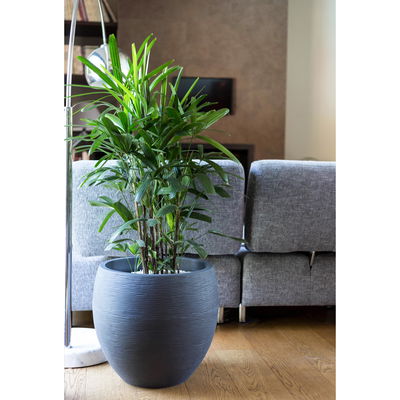 Eda Pflanzgefäß 'Graphit Egg', anthrazit, ca. Ø 50 x H 45 cm Eda Pflanzgefäß 'Graphit Egg', anthrazit, ca. Ø 50 x H 45 cm