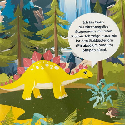 Dino Snack®, Sisko, Goldtüpfelfarn, Topf-Ø 14 cm, mit Brotdose Dino Snack®, Sisko, Goldtüpfelfarn, Topf-Ø 14 cm, mit Brotdose