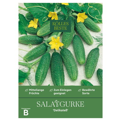 Kölles Beste Gemüsesamen, Landgurke 