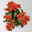 Kalanchoe 'Queen'®, orange, Topf-Ø 14 cm, 3 Pflanzen