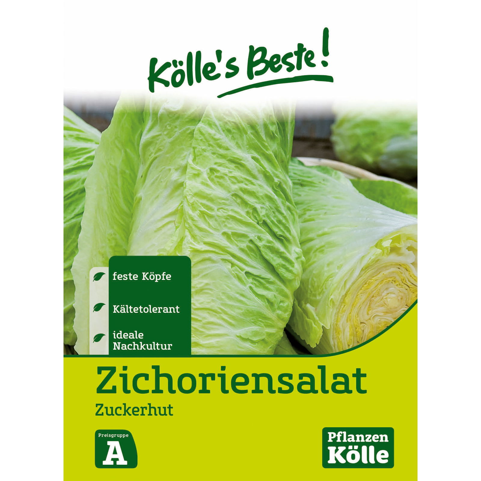 Kölle's Beste Gemüsesamen Zichoriensalat/Zuckerhut