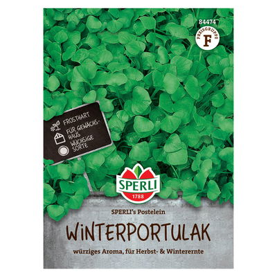 Saatgut Winterportulak 'Postelein' Saatgut Winterportulak 'Postelein'