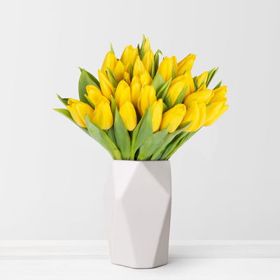 30 gelbe Tulpen