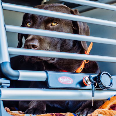 Nobby Auto-Transportbox 'Round Corner' XS, Aluminium Nobby Auto-Transportbox 'Round Corner' XS, Aluminium