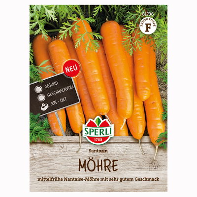 Gemüsesamen, Möhre 'Santorin', orange