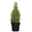 Zuckerhutfichte, Picea glauca 'Perfecta'®, Topf 19 cm