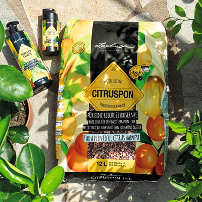 Lechuza Citruspon, 12 Liter