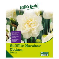 XXL Gefüllte Narzissen Obdam weiß, 10 Blumenzwiebeln