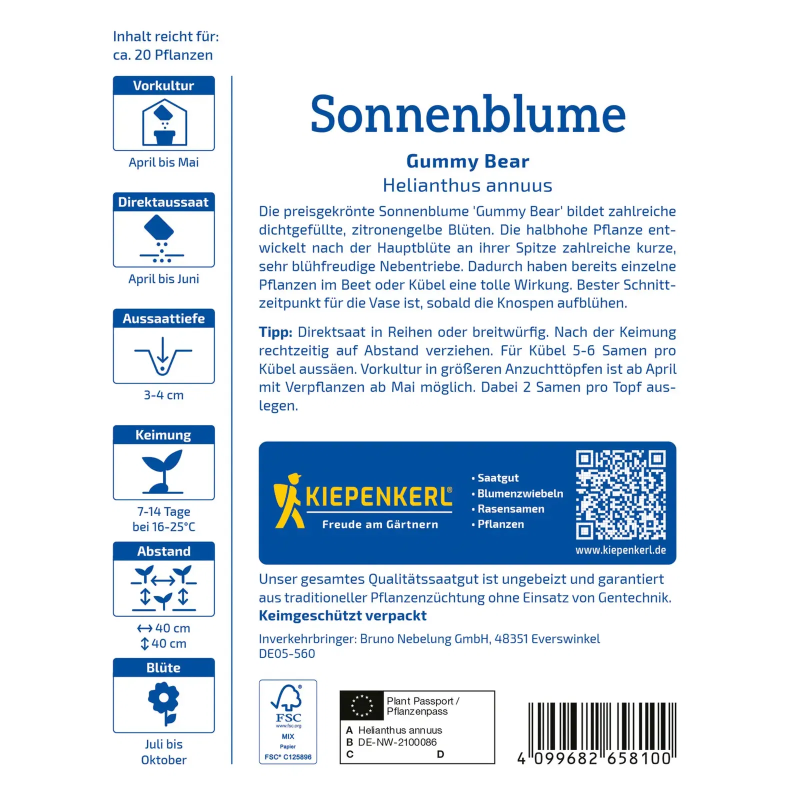 Kiepenkerl Saatgut Sonnenblume 'Gummi Bear'