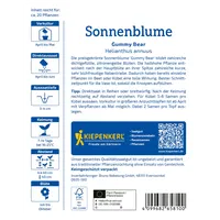 Kiepenkerl Saatgut Sonnenblume 'Gummi Bear'