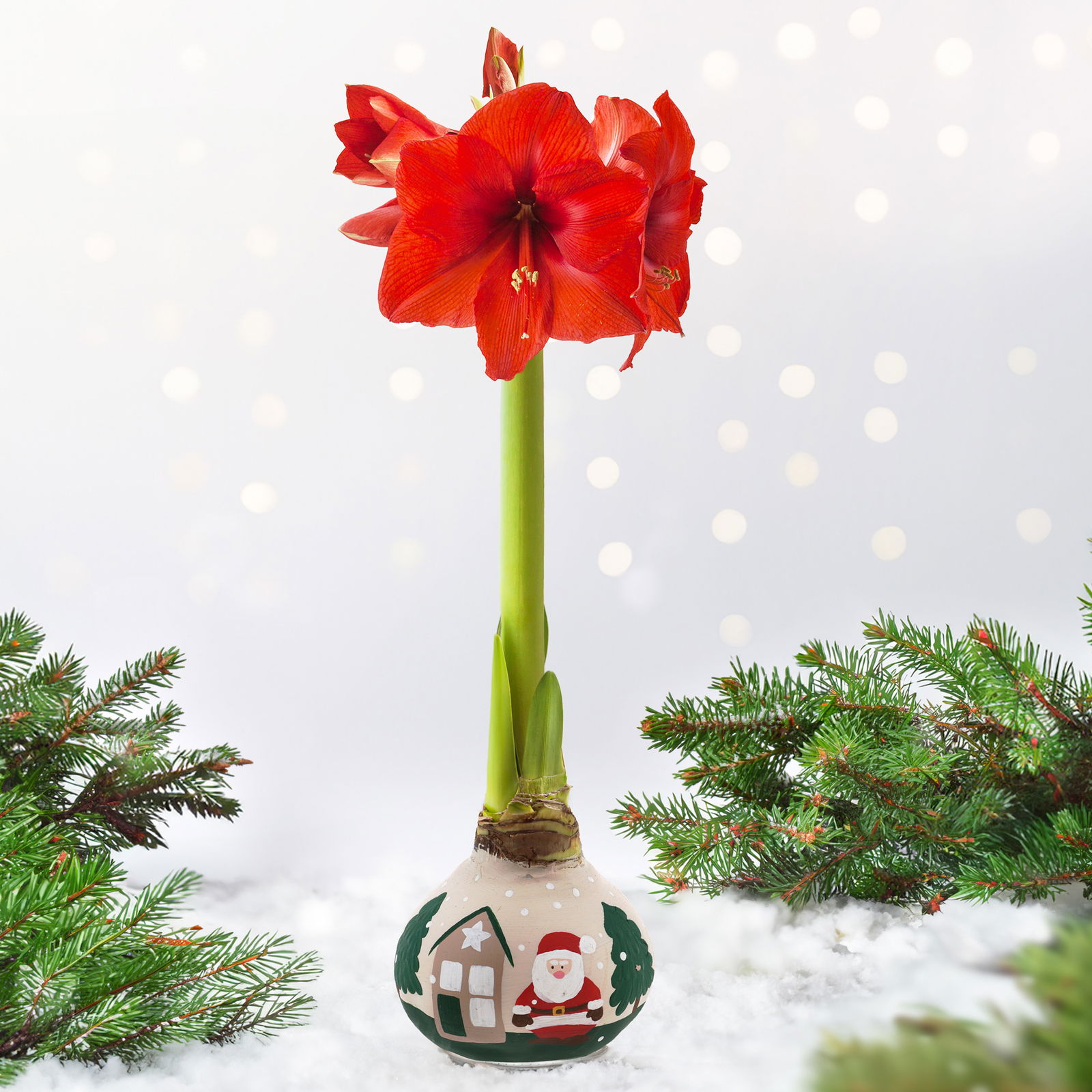 Amaryllis in Wachs, Dekor 'Forest & Nikolaus', handbemalt, Blüte rot