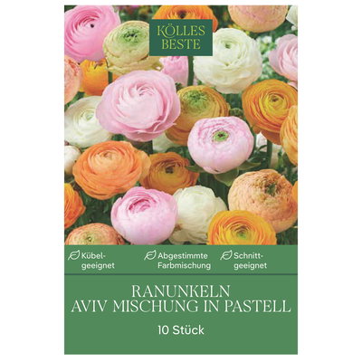 Kölles Beste Ranunkeln-Mischung 'Aviv', pastell, 10 Blumenknollen