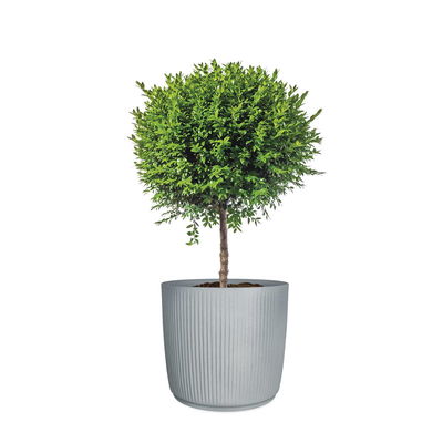 Scheurich Pflanzgefäß 'Linetto', grau, ca. Ø 29 x H 26 cm