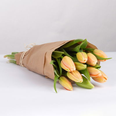 10 apricotfarbene Tulpen 10 apricotfarbene Tulpen