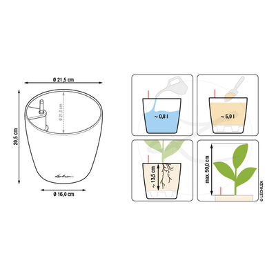 Lechuza 'Classico Color 21', muskat, ca. Ø 21,5 x H 20,5 cm Lechuza 'Classico Color 21', muskat, ca. Ø 21,5 x H 20,5 cm