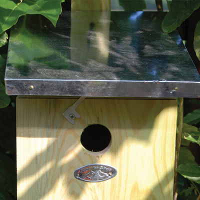 Nistkasten Kohlmeisen Nistkasten Kohlmeisen