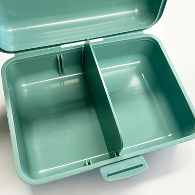 Dino Snack®, Sisko, Goldtüpfelfarn, Topf-Ø 14 cm, mit Brotdose Dino Snack®, Sisko, Goldtüpfelfarn, Topf-Ø 14 cm, mit Brotdose