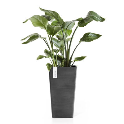 Ecopots Pflanzgefäß 'Rotterdam MidHigh', dunkelgrau, ca. Ø 31 x H 56 cm Ecopots Pflanzgefäß 'Rotterdam MidHigh', dunkelgrau, ca. Ø 31 x H 56 cm