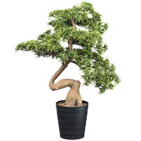 Künstliche Bonsai-Steineibe, Höhe ca. 90 cm