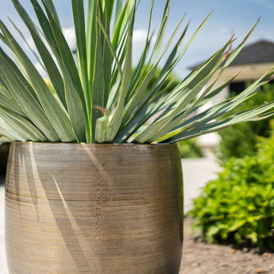 Kölle Pflanzgefäß 'Rowen', gold, ca. Ø 42 x H 41 cm Kölle Pflanzgefäß 'Rowen', gold, ca. Ø 42 x H 41 cm