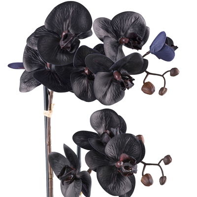 Kunstpflanze  Phalaenopsis, schwarz, Höhe ca. 53 cm