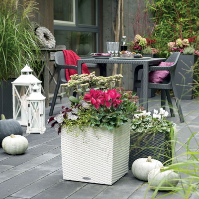 Lechuza 'Cube Cottage 50', weiß, ca. 49 x 49 x H 49,5 cm