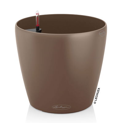 Lechuza 'Classico Color 18', muskat, ca. Ø 19 x H 17 cm