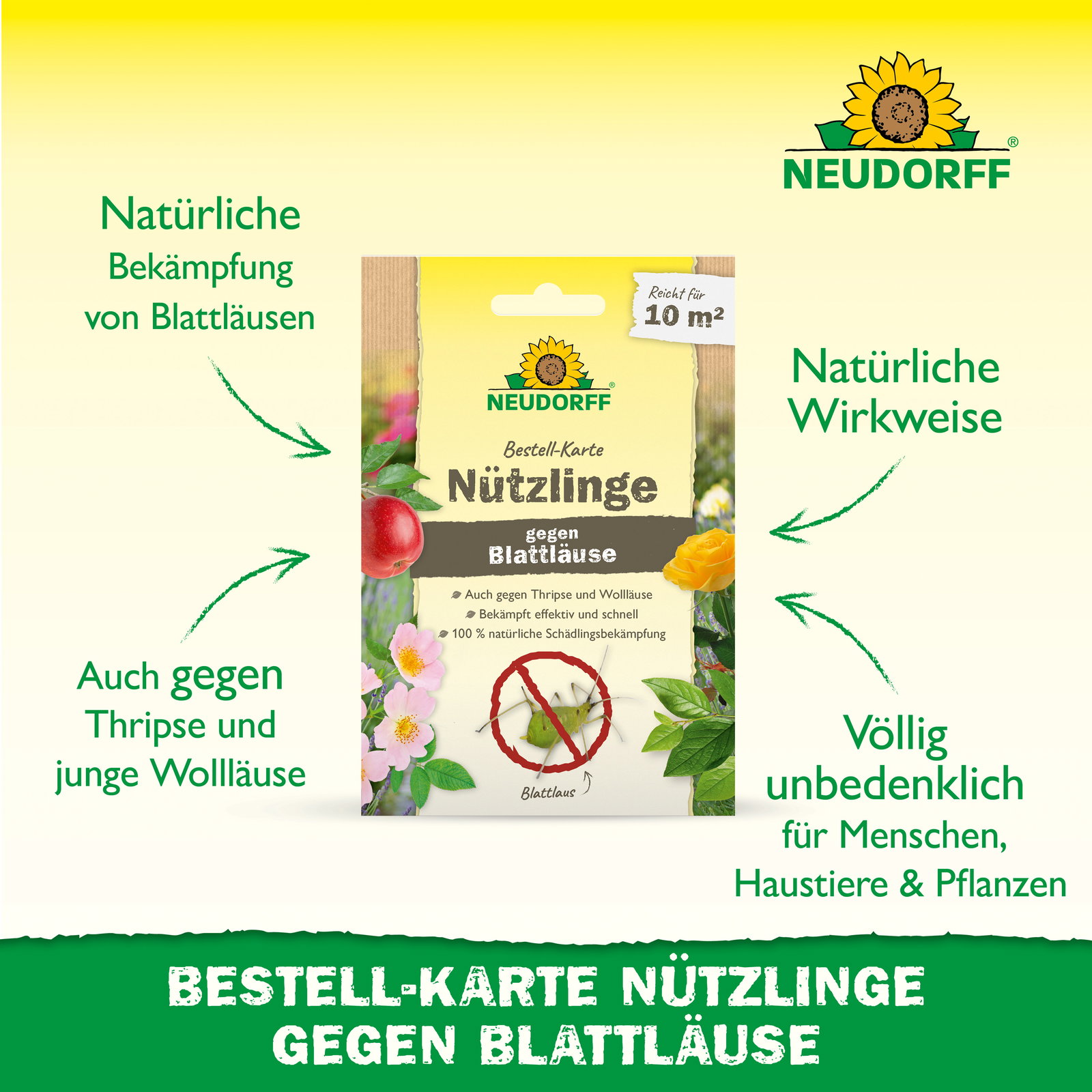 Neudorff Bestell-Set Nützlinge gegen Blattläuse, für bis zu 10 m² Neudorff Bestell-Set Nützlinge gegen Blattläuse, für bis zu 10 m²