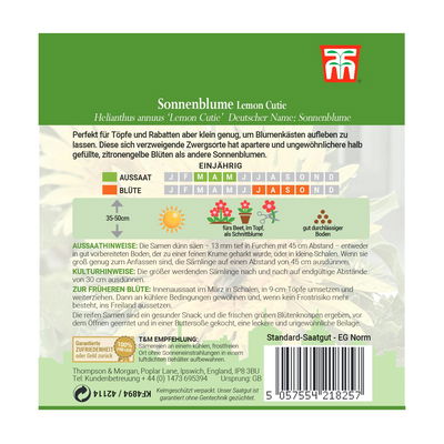 Thompson & Morgan Sonnenblume 'Lemon Cutie®', gelb Thompson & Morgan Sonnenblume 'Lemon Cutie®', gelb